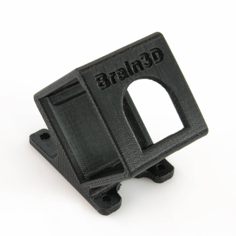 QAV-R 2 GoPro Session Mount