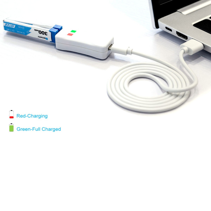BT2.0 Battery Charger and Voltage Tester