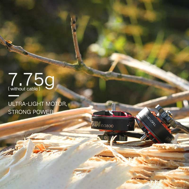 Tiger Motor F1404 3800Kv