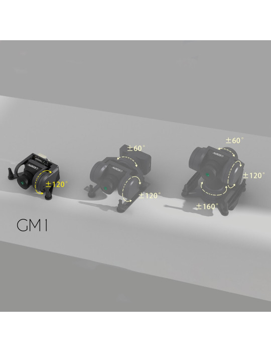 CaddxFPV GM1