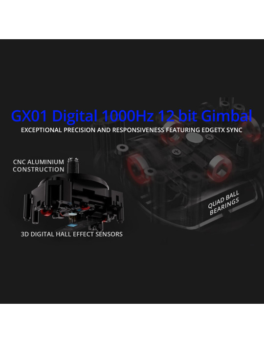 RadioMaster GX12 Dual-Band Gemini-X Radio Controller (ELRS) - M2