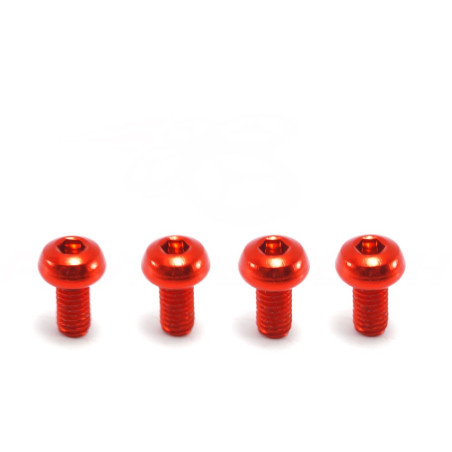 M3 x 6mm Aluminiumschraube (4 Stk)