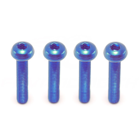 M3 x 16mm Aluminiumschraube (4 Stk)