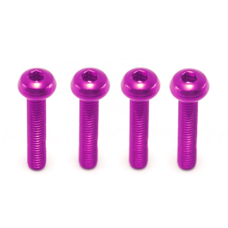 M3 x 16mm Aluminiumschraube (4 Stk)